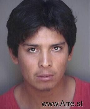 Fernando  Rosales Mugshot