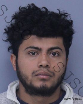 Flores Ordonez, Fredys Javier Floresordonez Mugshot