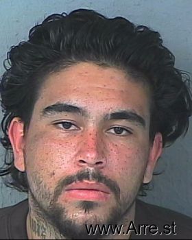 Francisco Luis Ruiz-cain Mugshot