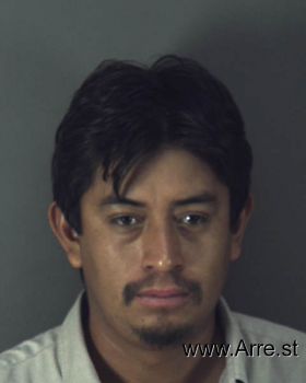 Francisco  Valerio-hernandez Mugshot