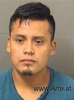 Francisco  Velasquez Mugshot