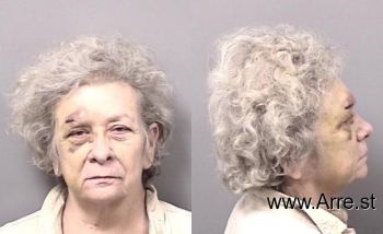 Gale Ann Eriksson Mugshot