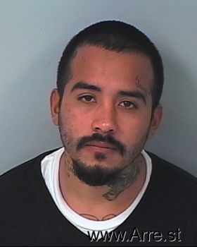 Gabriel Briel Alvarez Mugshot