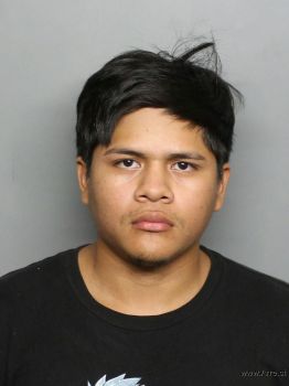 Gabriel Enrique Castellon-avellan Mugshot