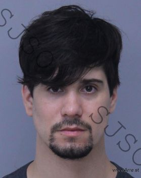 Gavin Drake Jones Mugshot