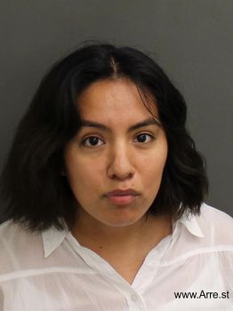 Guadalupe  Cruzromero Mugshot