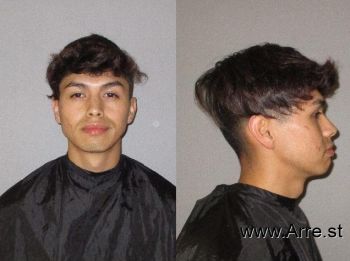 Gustavo  Gonzales Mugshot