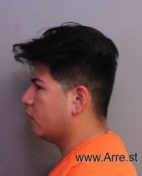 Gustavo Adolfo Ortiz Mugshot