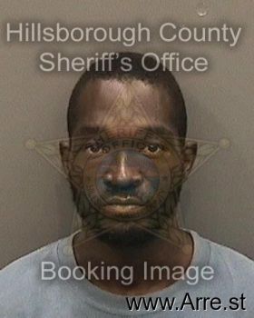 Harry Tj Brown Mugshot