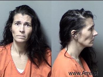 Heather Elaine Holloway Mugshot