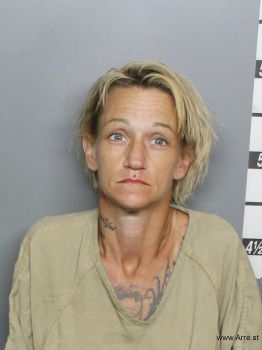 Heather Lynn Anderson Mugshot