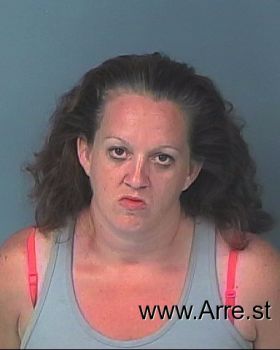 Heather Ann Blevins Mugshot