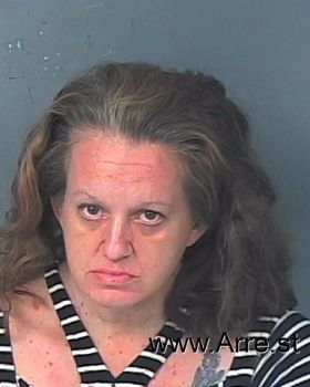 Heather Ann Blevins Mugshot