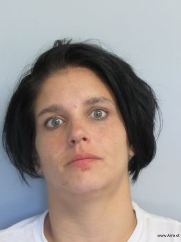 Heather Nichole Davis Mugshot