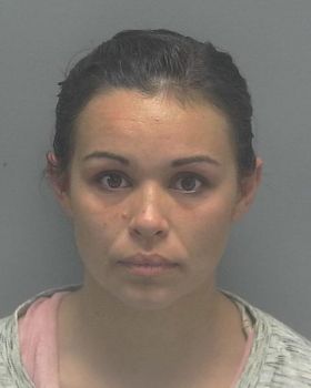 Heather Marie Hudson Mugshot