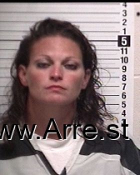 Heather Marie Johnson Mugshot