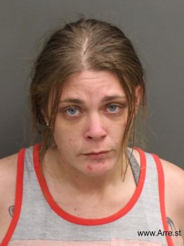 Heather Nicole Mitchell Mugshot