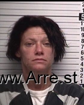 Heather Marie Skipper Mugshot