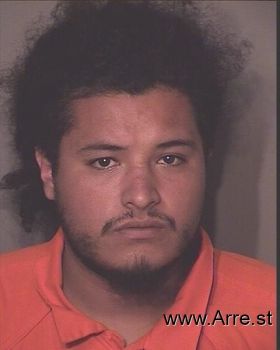 Hector R Alvarez-tostado-ceniceros Mugshot