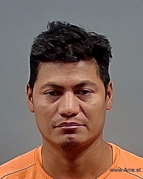 Hector De Los Santos Castillo Mugshot