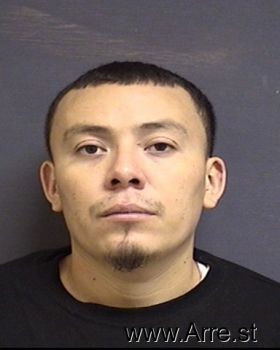 Hector  Navarro-ramirez Mugshot