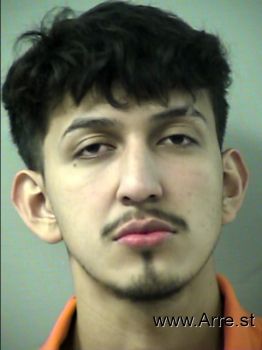 Hector Manuel Ramirez-maldonado Mugshot