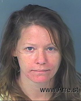 Heidi L Hanson Mugshot