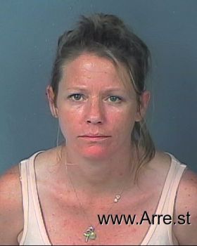 Heidi L Hanson Mugshot