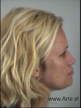 Heidi Lynn Johnson Mugshot