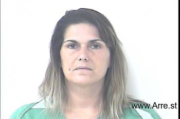 Heidi Ann Johnson Mugshot