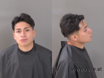 Henry Gehovany Jr Castro Mugshot