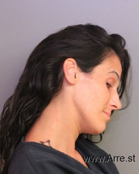 Holly Ann Howard Mugshot