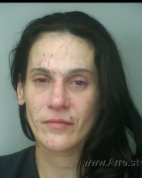 Holly Ann Howard Mugshot