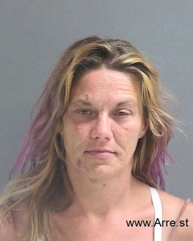 Holly Renae James Mugshot