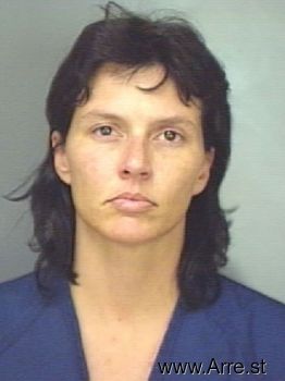 Holly Britt Skinner Mugshot