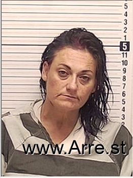 Holly Renee Taylor Mugshot