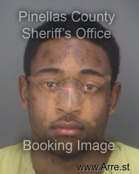 Ikeice  Flowers Mugshot