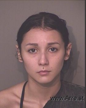 Iris Avidalys Castro Mugshot