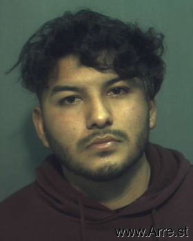 Irving  Alvarezreyes Mugshot