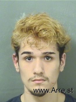 Joel Jr Sanchez Mugshot