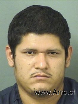 Jonathan  Acuna Mugshot