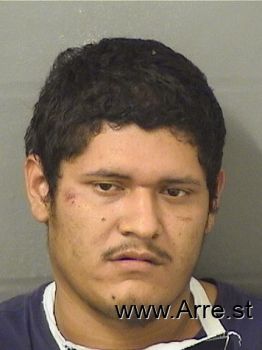 Jonathan  Acuna Mugshot