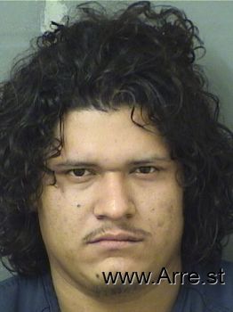 Jonathan  Acuna Mugshot