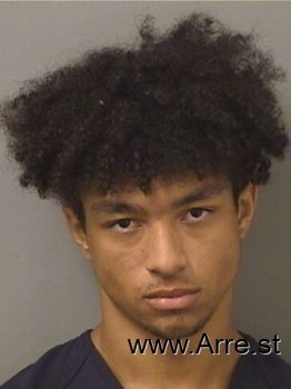 Jonathan Nicholas Anthonyhogentoren Mugshot