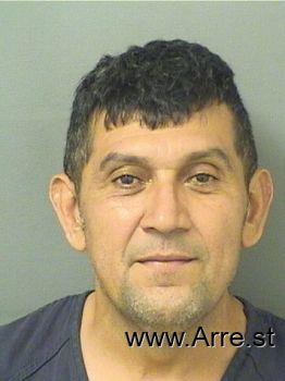 Jose Lidio Benitezhernandez Mugshot