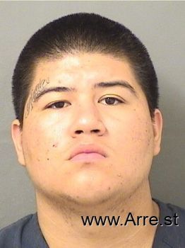 Jose Manuel Calderon Mugshot