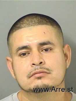 Jose  Collazogutierrez Mugshot