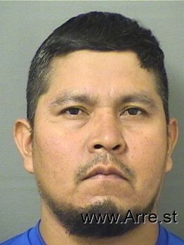 Jose Bj Delacruz Mugshot