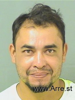 Jose Adonis Mejiagranados Mugshot