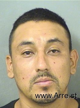 Jose Dejesus Pachecomartinez Mugshot